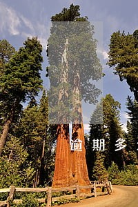 逾期多久上呆账 逾期多久上呆账