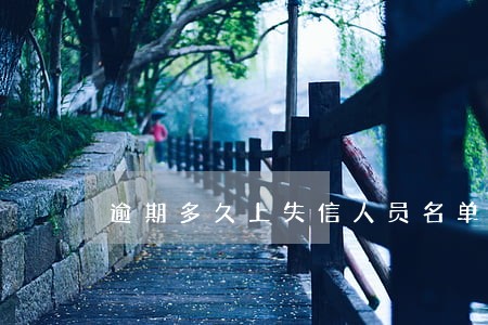 逾期多久上失信人员名单 逾期多久上失信人员名单