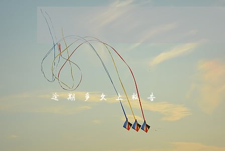 逾期多久上报告 逾期多久上报告