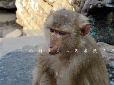 逾期多久上逃废债名单查询