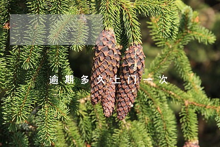 逾期多久上门一次 逾期多久上门一次