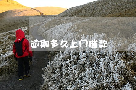 逾期多久上门催款 逾期多久上门催款