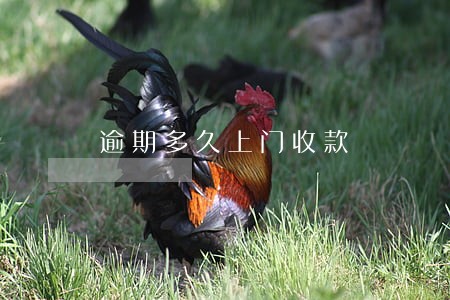 逾期多久上门收款 逾期多久上门收款