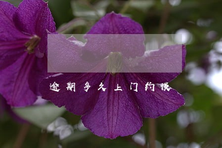 逾期多久上门约谈 逾期多久上门约谈