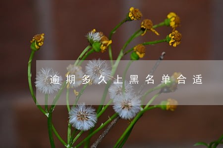 逾期多久上黑名单合适 逾期多久上黑名单合适