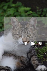 逾期多久下催收信 逾期多久下催收信