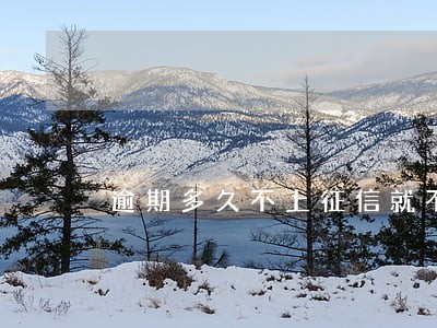 逾期多久不上征信就不上了 逾期多久不上征信就不上了