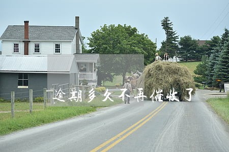 逾期多久不再催收了 逾期多久不再催收了