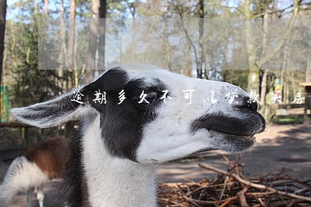 逾期多久不可以贷款买房 逾期多久不可以贷款买房
