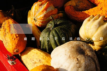 逾期多久不应该收入逾期费 逾期多久不应该收入逾期费