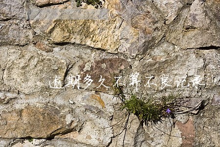 逾期多久不算不良记录 逾期多久不算不良记录