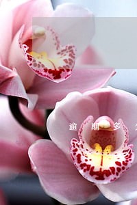 逾期多久不能借钱 逾期多久不能借钱