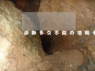 逾期多久不能办信用卡 逾期多久不能办信用卡