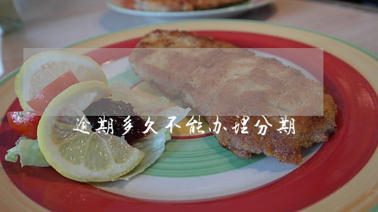 逾期多久不能办理分期 逾期多久不能办理分期