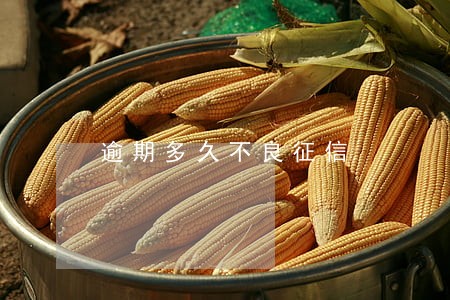 逾期多久不良征信 逾期多久不良征信