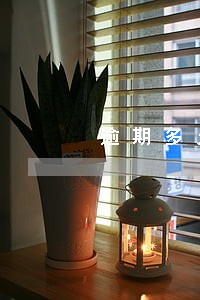 逾期多久不还会成为黑户 逾期多久不还会成为黑户