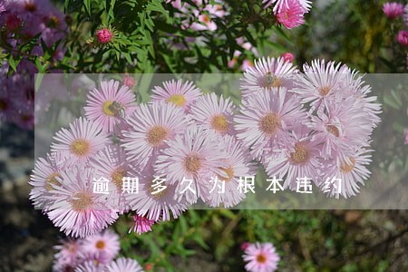 逾期多久为根本违约