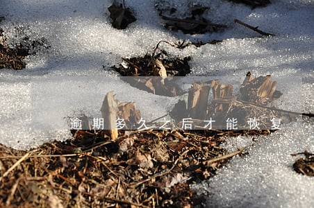 逾期多久之后才能恢复 逾期多久之后才能恢复