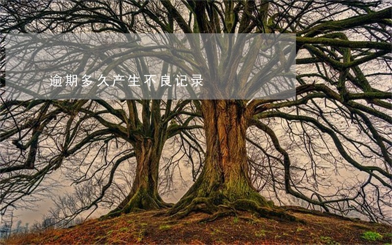 逾期多久产生不良记录 逾期多久产生不良记录