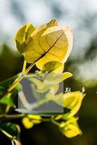 逾期多久人家会打通讯录 逾期多久人家会打通讯录