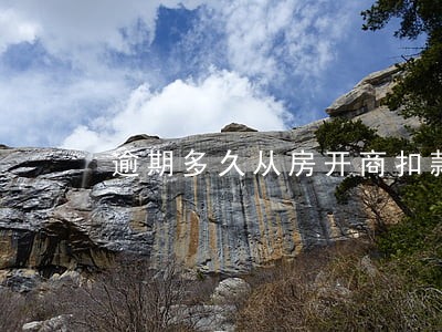 逾期多久从房开商扣款 逾期多久从房开商扣款