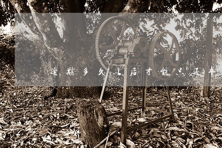 逾期多久以后才能只还本金