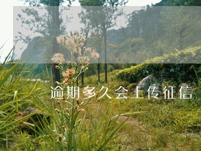 逾期多久会上传征信 逾期多久会上传征信
