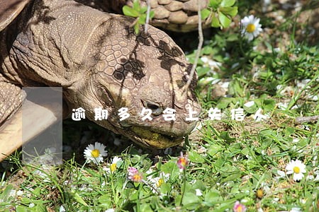 逾期多久会上失信人 逾期多久会上失信人