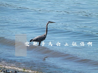 逾期多久会上征信啊 逾期多久会上征信啊