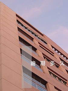 逾期多久会上征信车款