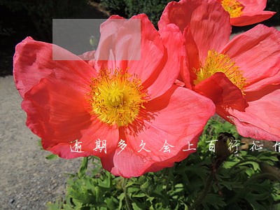 逾期多久会上百行征信是什么 逾期多久会上百行征信是什么