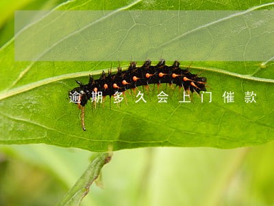 逾期多久会上门催款 逾期多久会上门催款