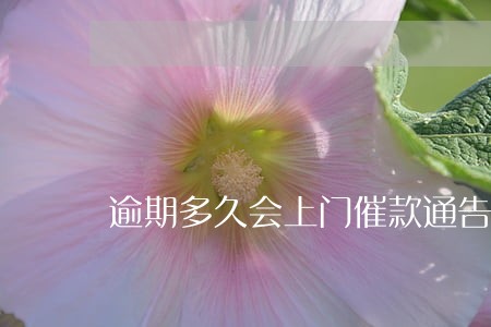 逾期多久会上门催款通告是真的吗 逾期多久会上门催款通告是真的吗