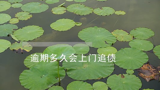 逾期多久会上门追债 逾期多久会上门追债