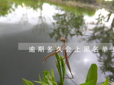 逾期多久会上黑名单五年 逾期多久会上黑名单五年