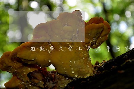 逾期多久会上黑名单网贷 逾期多久会上黑名单网贷