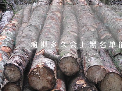逾期多久会上黑名单能坐飞机吗 逾期多久会上黑名单能坐飞机吗