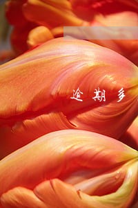 逾期多久会产生利息 逾期多久会产生利息