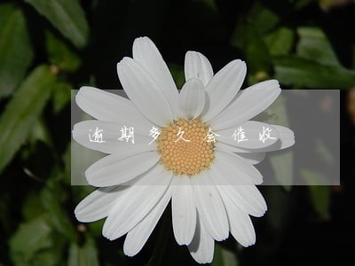 逾期多久会催收 逾期多久会催收