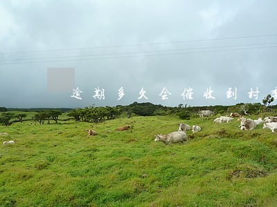 逾期多久会催收到村委会 逾期多久会催收到村委会
