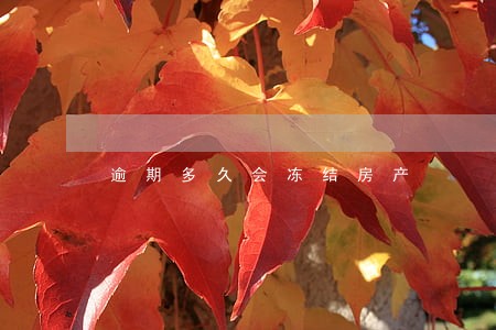 逾期多久会冻结房产 逾期多久会冻结房产