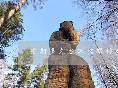 逾期多久会冻结银行账户 逾期多久会冻结银行账户
