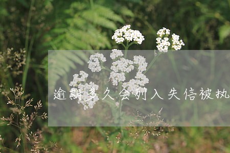 逾期多久会列入失信被执行人名单 逾期多久会列入失信被执行人名单
