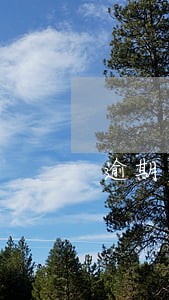 逾期多久会别列入失信人员 逾期多久会别列入失信人员