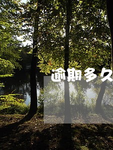 逾期多久会协商免息 逾期多久会协商免息