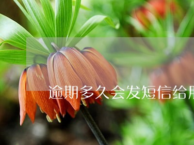 逾期多久会发短信给朋友 逾期多久会发短信给朋友