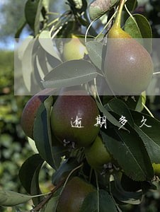 逾期多久会变成失信人 逾期多久会变成失信人