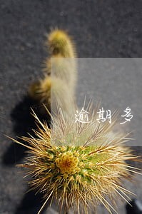 逾期多久会在征信上显示 逾期多久会在征信上显示