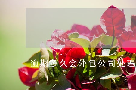 逾期多久会外包公司处理 逾期多久会外包公司处理