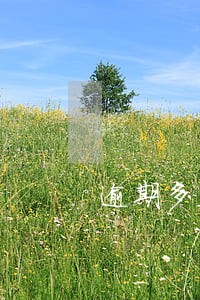 逾期多久会失信黑名单 逾期多久会失信黑名单